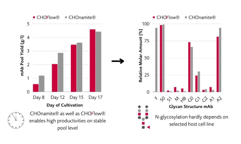 Cho Cell Line Development Services Fyonibio